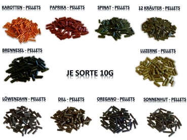 10 x 10g Garnelenfutter Sortiment6